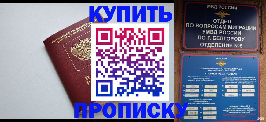 прописка регистрация в Змеиногорске
